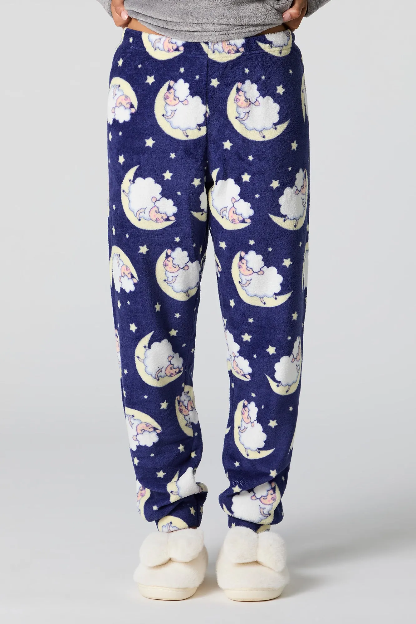 Plush Long Sleeve Top and Pant 2 Piece Pajama Set
